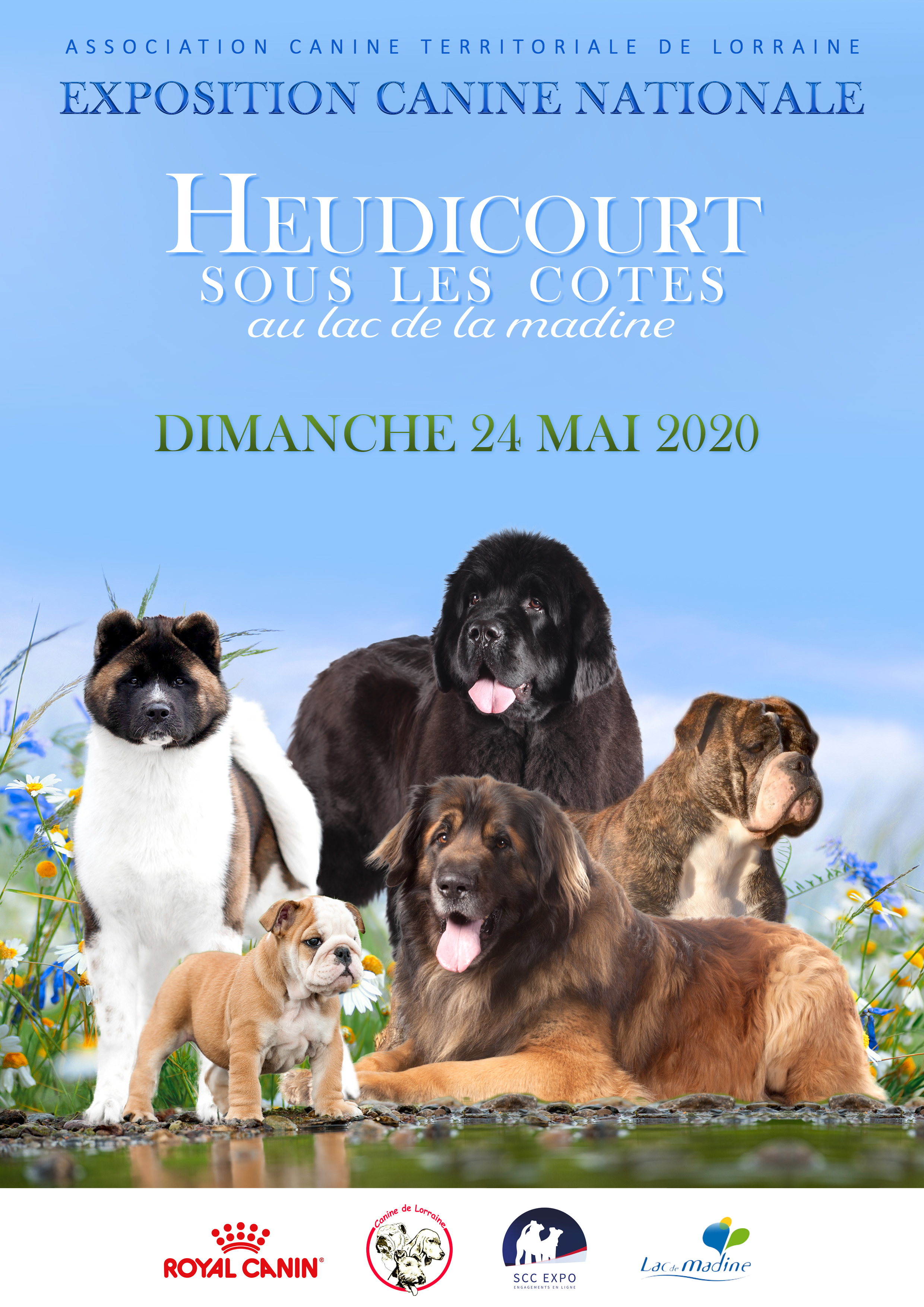 Expositions Expositions Canines Engagement en ligne