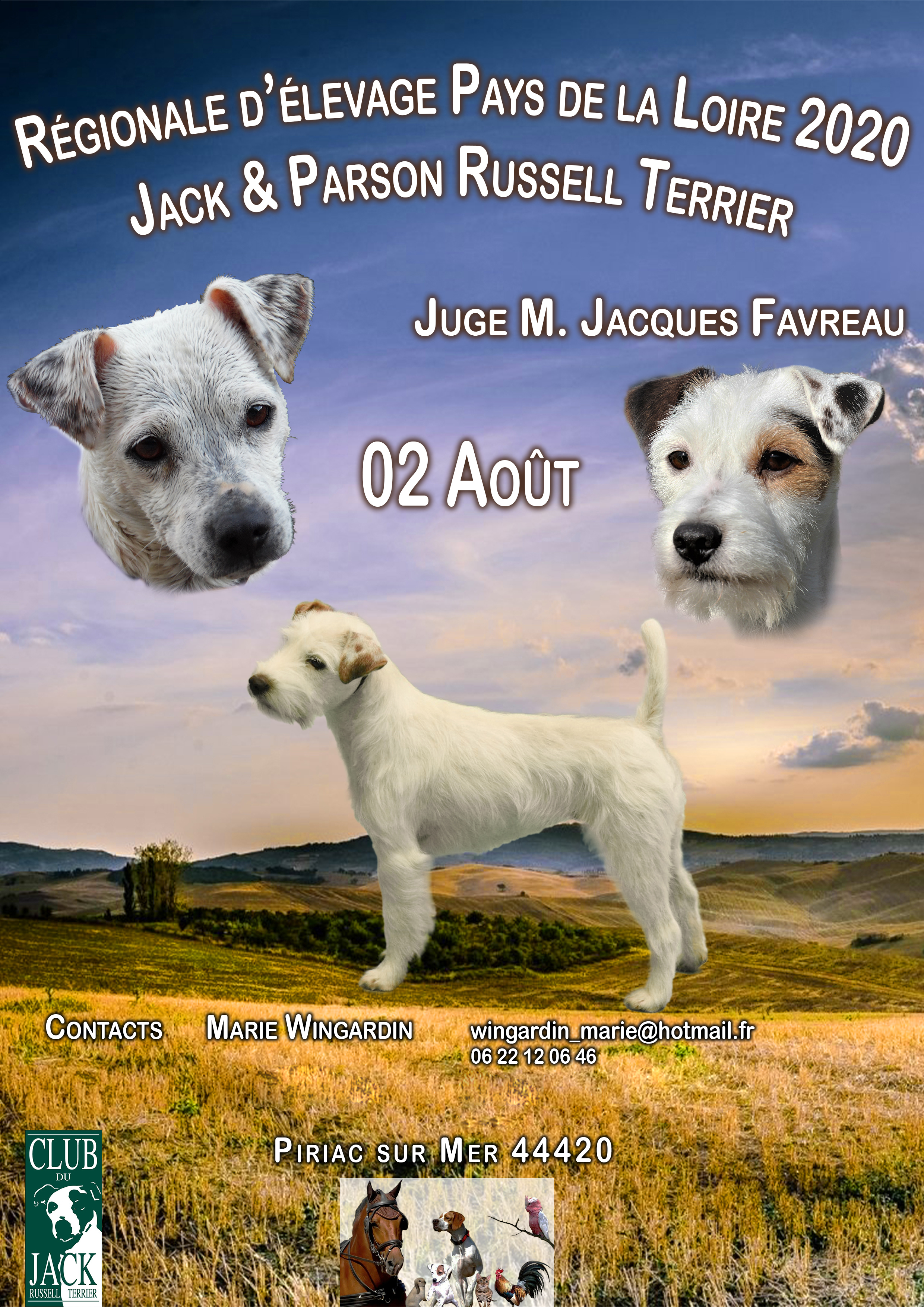 Expositions - Expositions Canines - Engagement en ligne