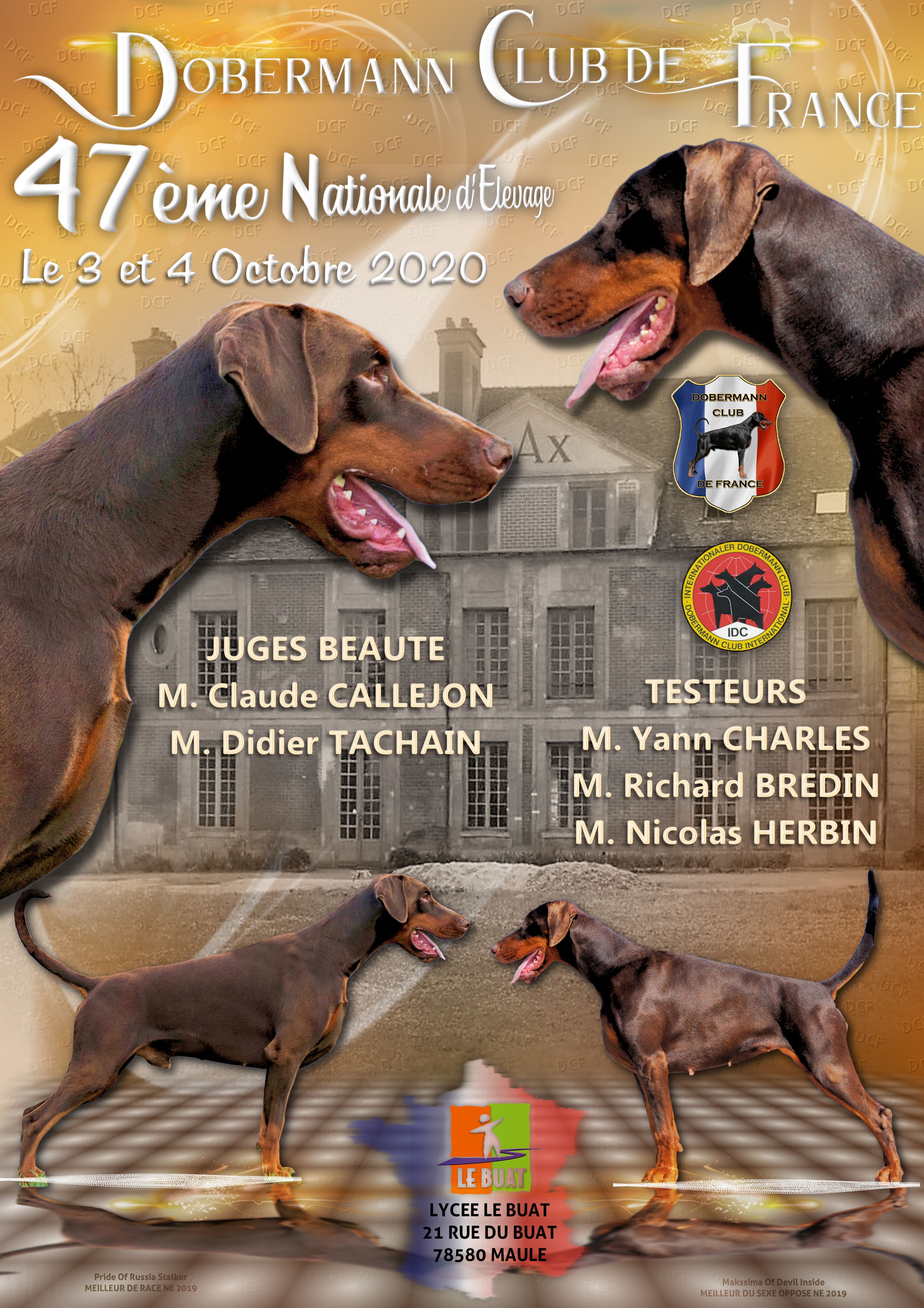 Expositions - Expositions Canines - Engagement en ligne